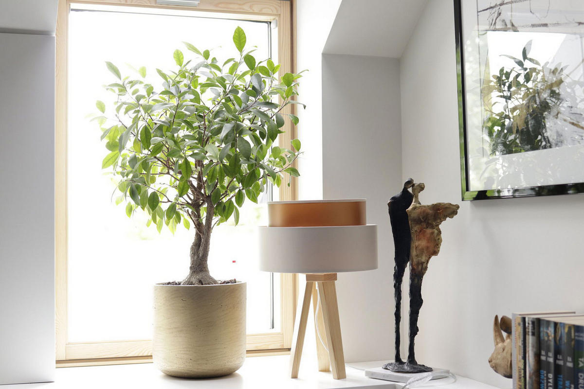 TISCHLAMPE Beige 30/45 cm - Braun, Kunststoff (30/0.7/45cm) - ONZENO