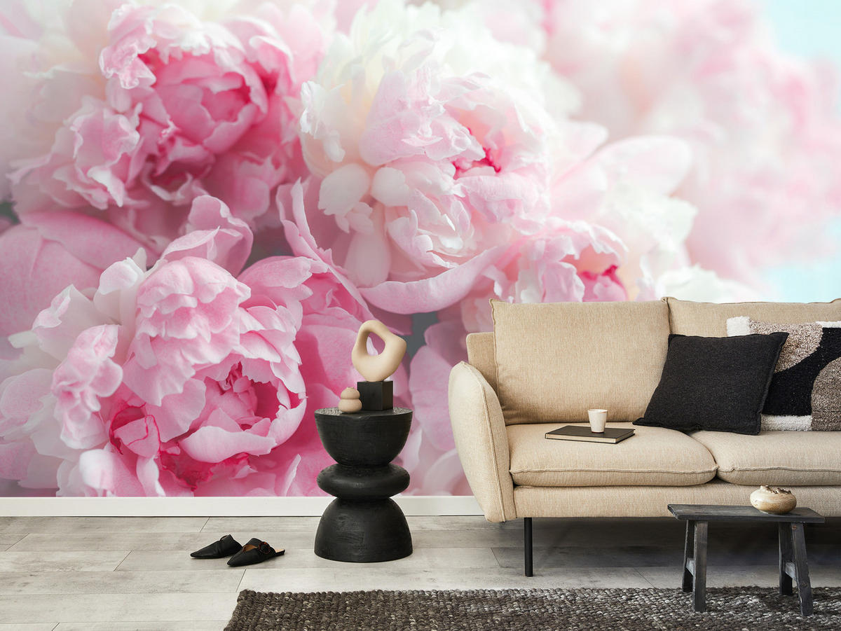 FOTOTAPETE Blumen Pfingstrosen Natur 3D 500x350 - Blau/Rosa, Papier (500/350cm) - Muralo