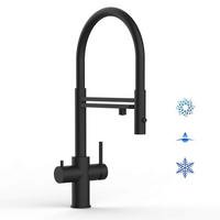 5-WEGE-KÜCHENARMATUR, Edelstahl Massiv aus Chirurgenstahl, PVD Schwarz Matt, 2-Strahl-Brause - Schwarz, Metall (33/52.5/33cm) - VIZIO