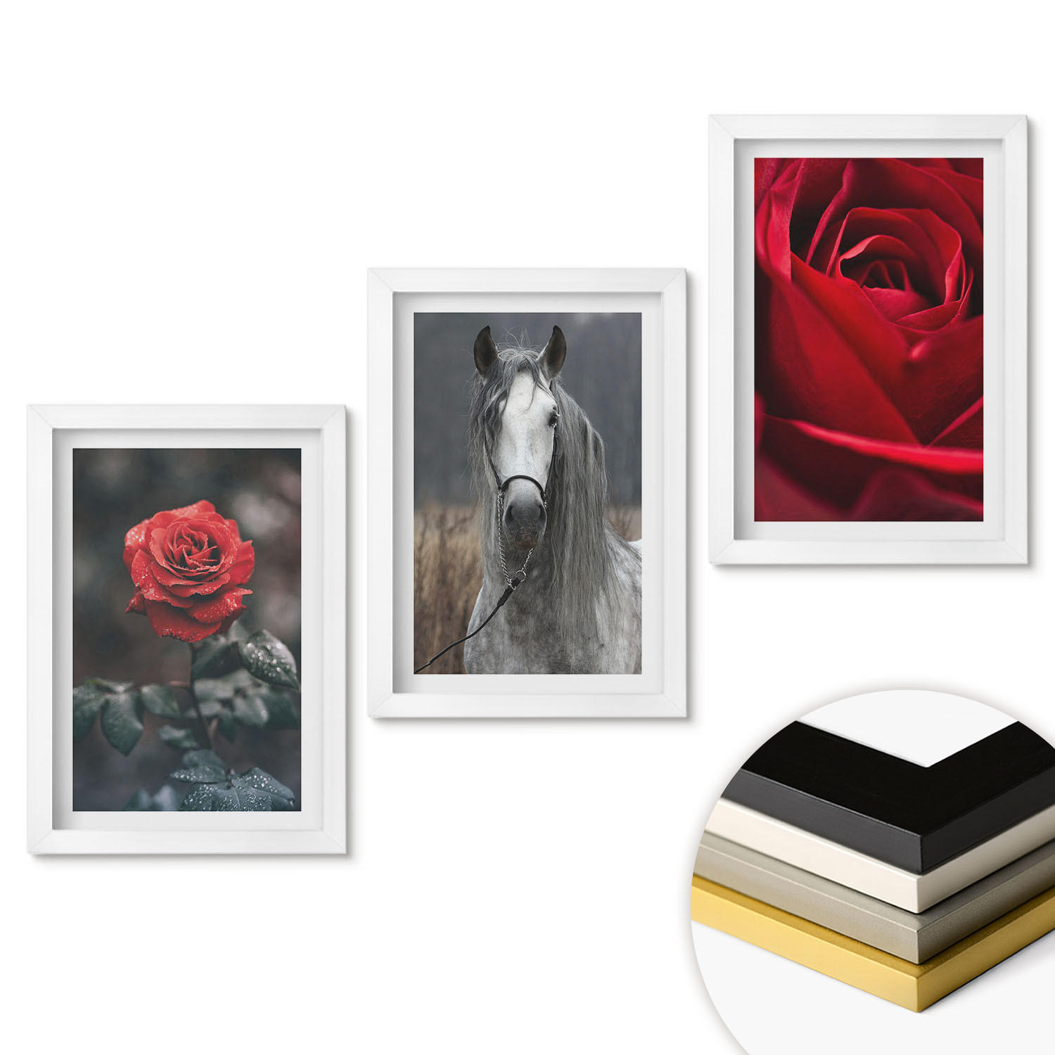 WANDBILDER 3er-Set - 20x30 cm Weißer Rahmen - Rote Rosen, Pferdegrau, Welt - Weiß, Kunststoff (20/30cm) - ArtPrintCave