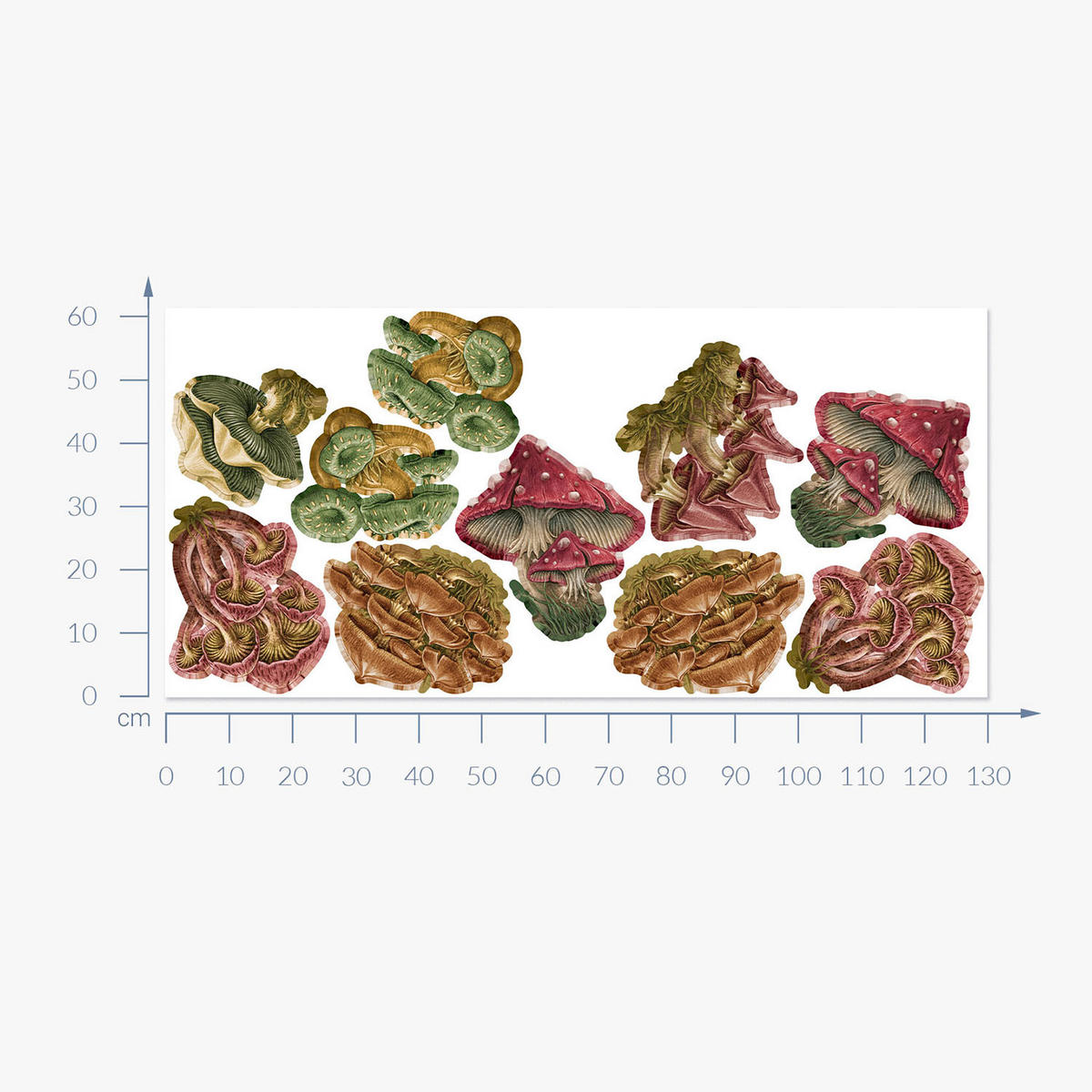 WANDAUFKLEBER 130x62cm - Pilzwiese - Multicolor, Kunststoff (130/62/0.1cm) - Wallfluent