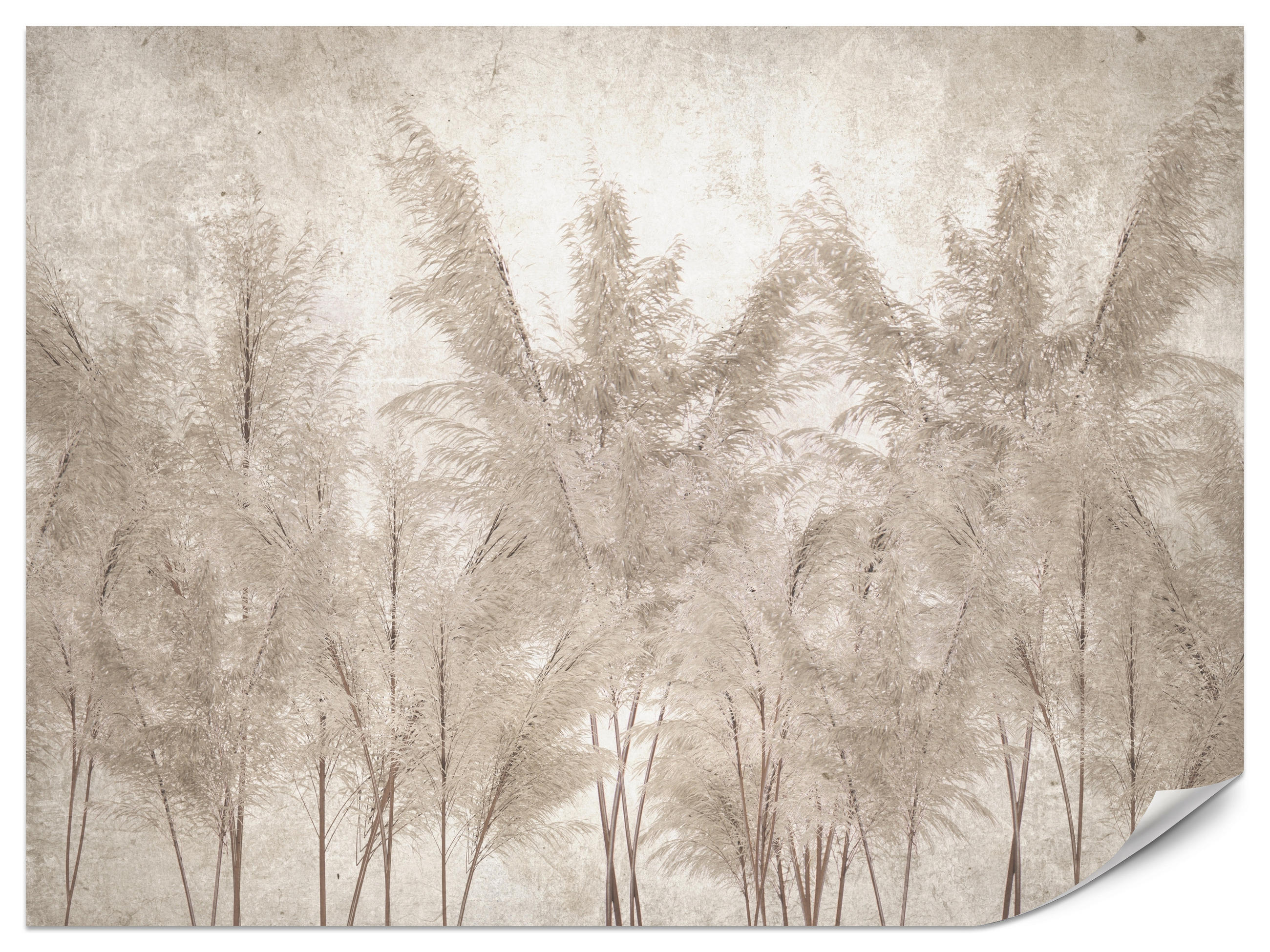 FOTOTAPETA Pre Spálňu Tráva Pampasová Vintage Béžová Boho 150 x 105 cm - hnedá/béžová, papier (150/105cm) - Muralo