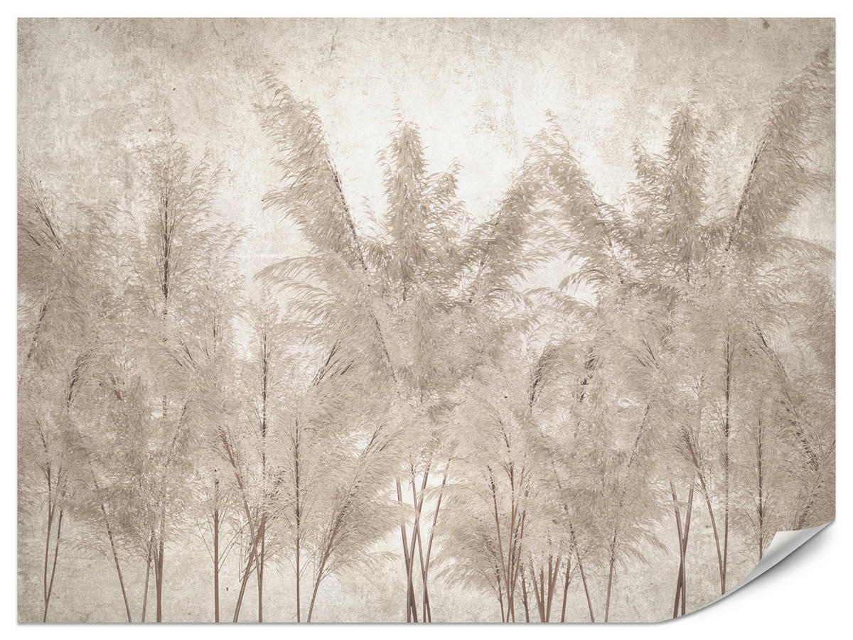 FOTOTAPETA Pre Spálňu Tráva Pampasová Vintage Béžová Boho 150 x 105 cm - hnedá/béžová, papier (150/105cm) - Muralo