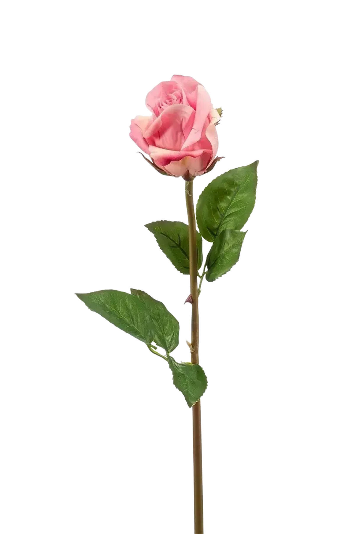 KUNSTBLUME Künstliche Rose - Astoria 58 cm - Pink, Kunststoff (58cm) - Emerald