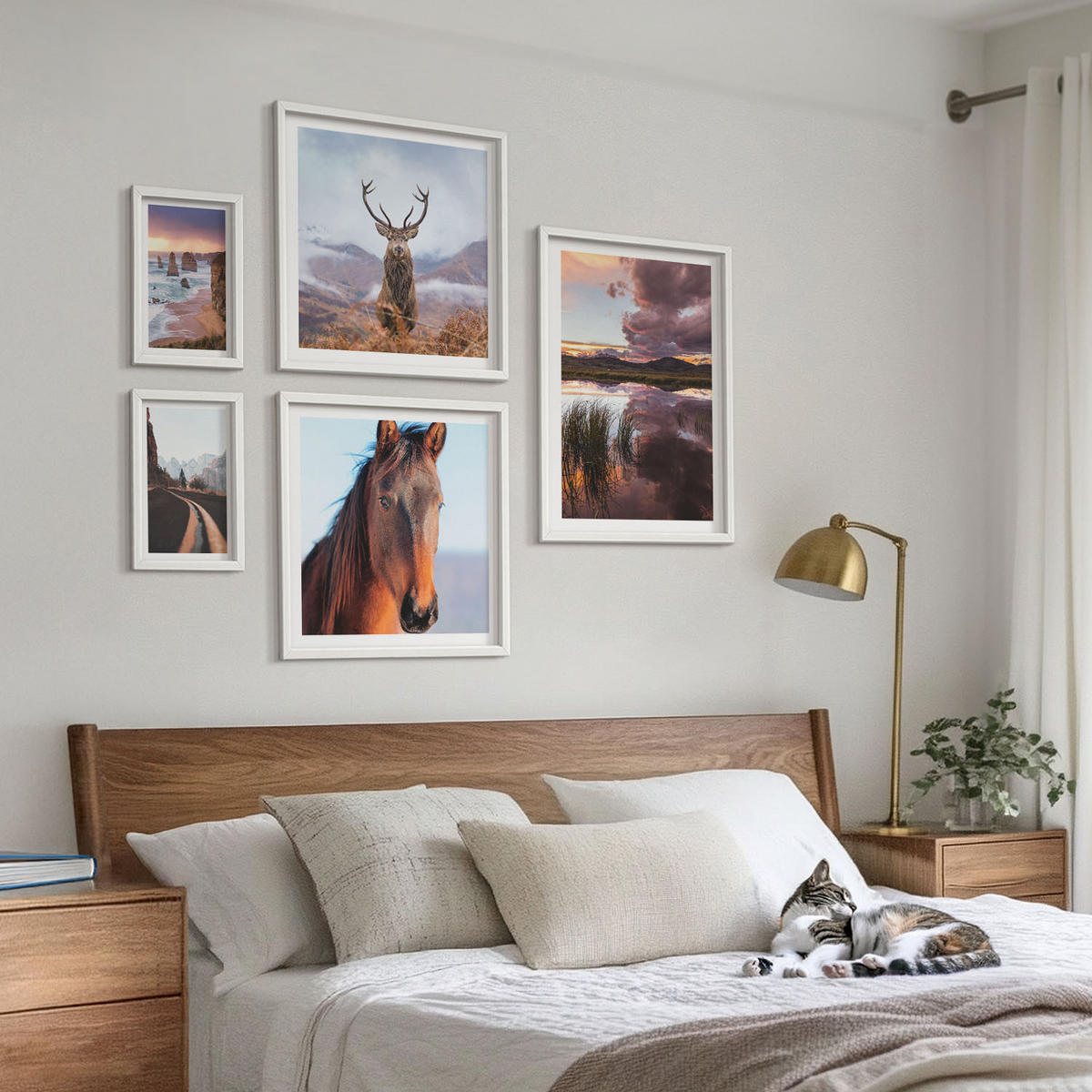 WANDBILDER 5er-Set - 50x50 cm & 20x30 cm & 40x60 cm Weißer Rahmen - Berglandschaften, Rentiere, Pferdestraße - Weiß, Kunststoff (40/60cm) - ArtPrintCave