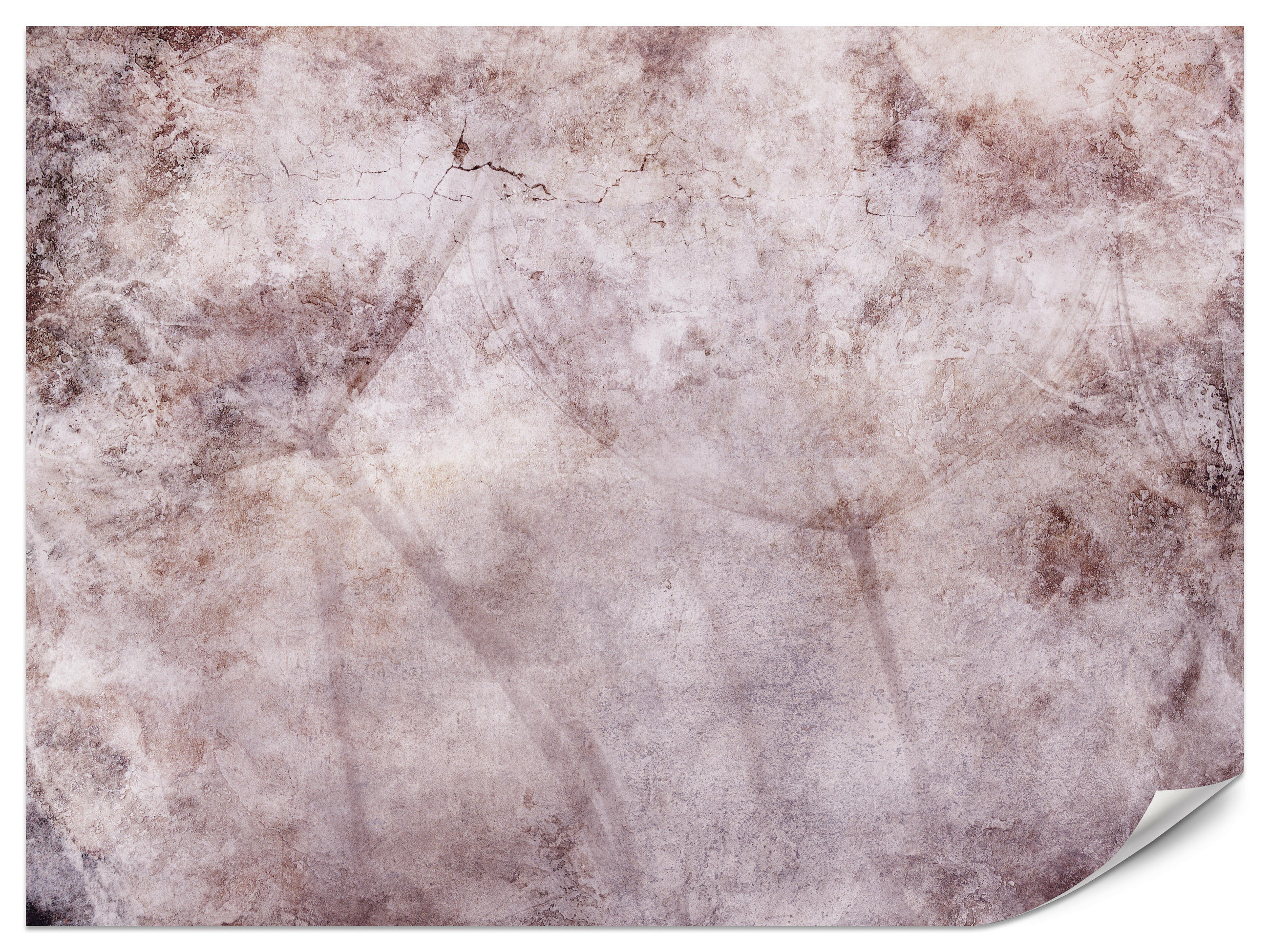 FOTOTAPETE Abstraktion Löwenzahn Blätter Retro Natur Beton 200x140 - Violett/Rosa, Papier (200/140cm) - Muralo