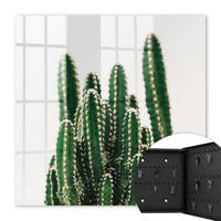 SCHLÜSSELBOX Schwarz 30x30 cm- Türöffnung nach rechts - Grüne Kakteen - Grün, Metall (30/30/5cm) - TULUP