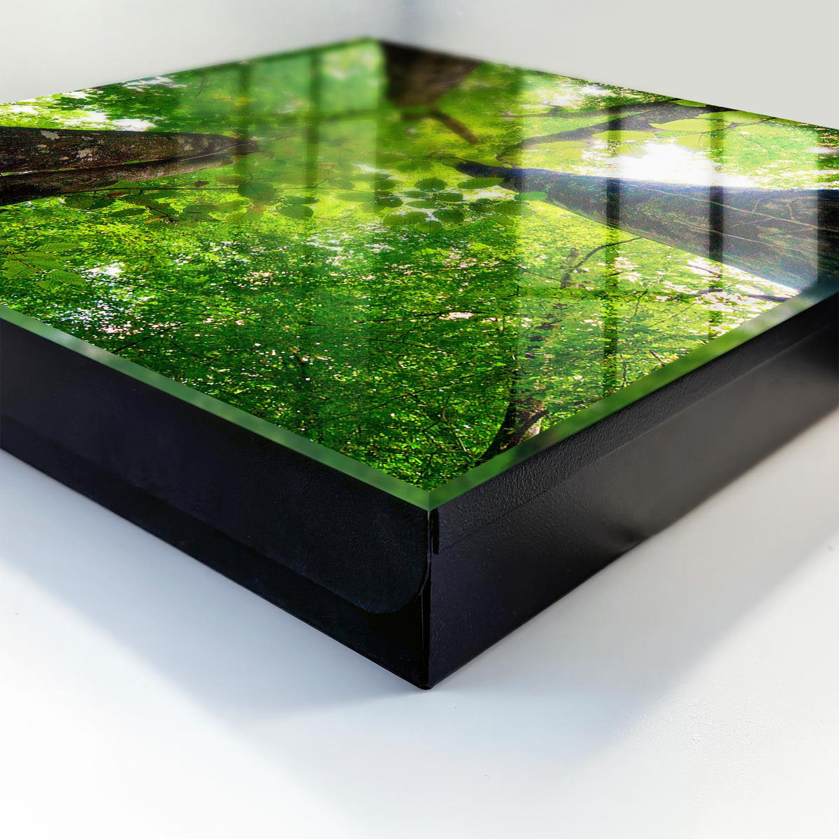 SCHLÜSSELBOX Schwarz 30x30 cm- Türöffnung nach rechts - Waldhimmel - Grün, Metall (30/30/5cm) - TULUP