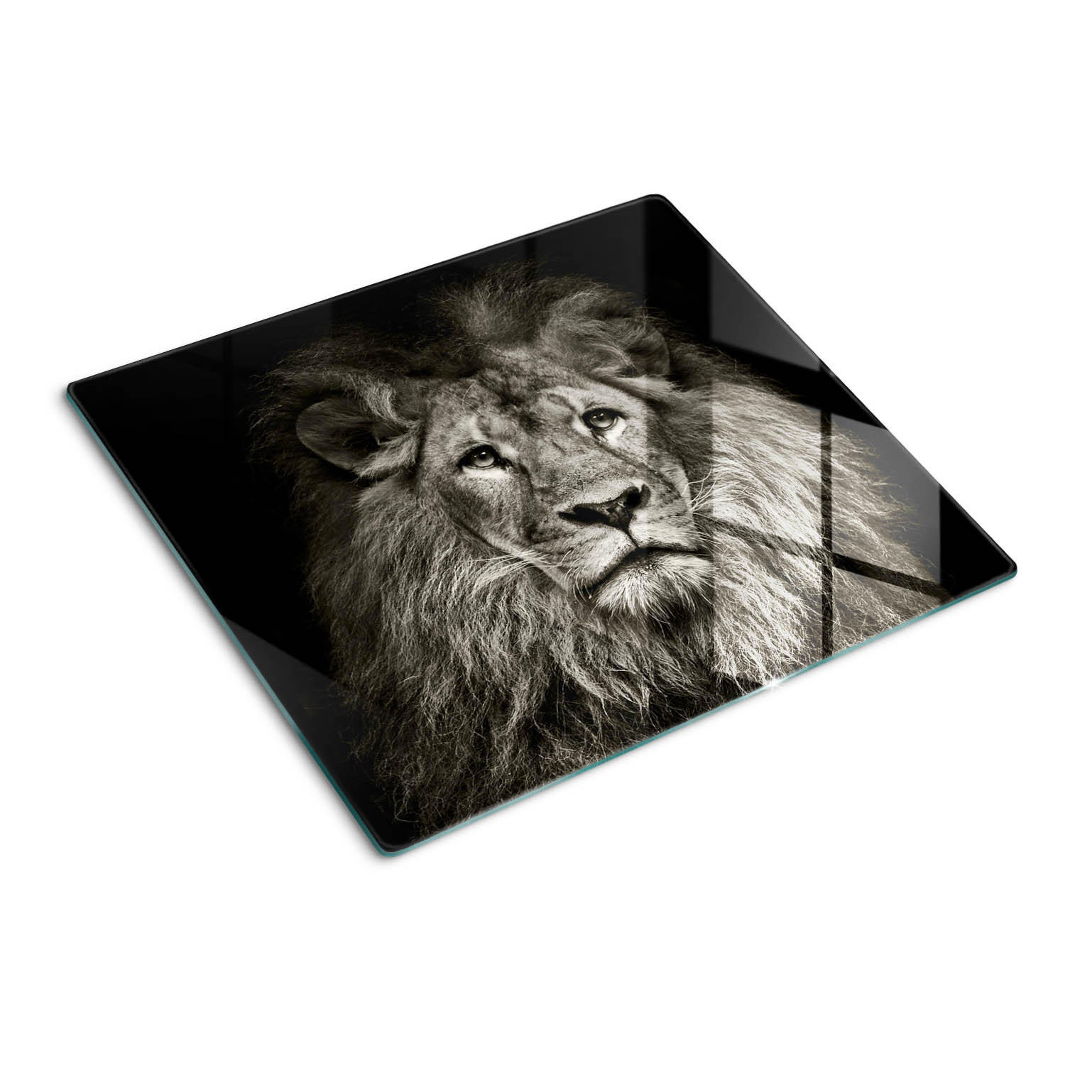 GLASPLATTE 60x52 cm Löwe - Braun/Hellgrün, Glas (60/0.4/52cm) - TULUP