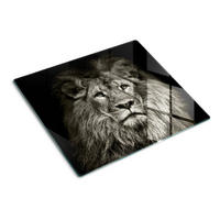 GLASPLATTE 60x52 cm Löwe - Braun/Hellgrün, Glas (60/0.4/52cm) - TULUP