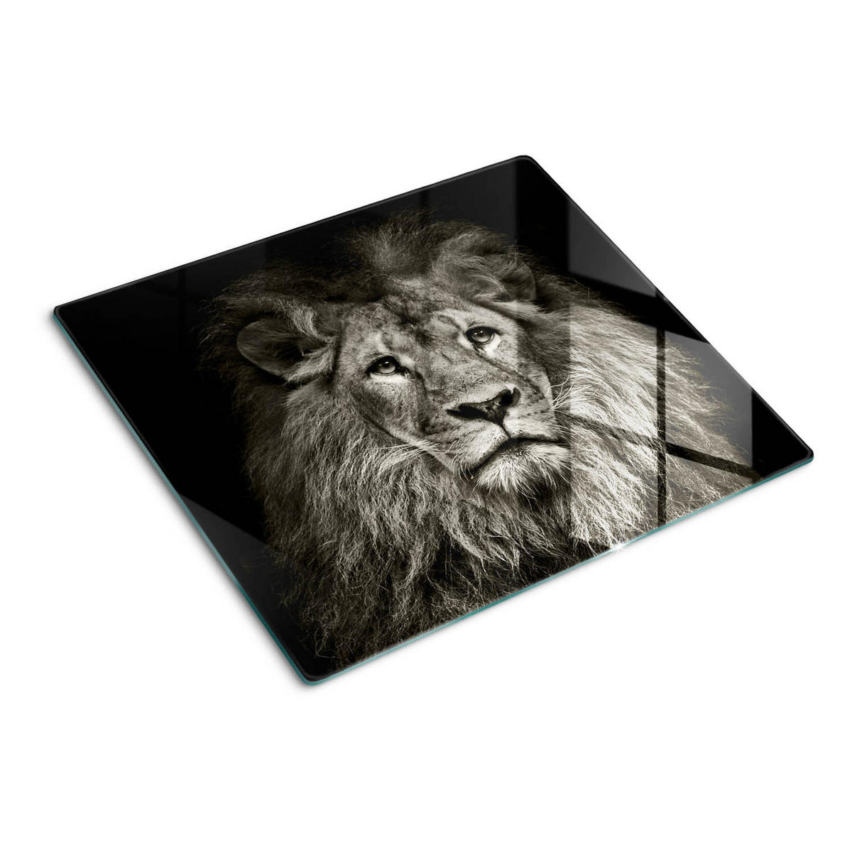 GLASPLATTE 60x52 cm Löwe - Braun/Hellgrün, Glas (60/0.4/52cm) - TULUP