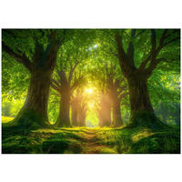 FOTOTAPETE Wald Bäume Grün 254x184 cm - Multicolor, Papier (254/184cm) - Wallarena