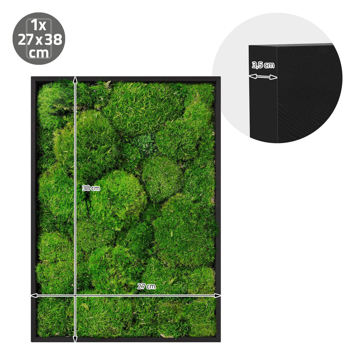 MOOSBILD Rechteck 38 x 27 cm Mooswand Indoor mit Echtem Kugelmoos und Holzrahmen Grün Pflegefrei - Grün, Naturmaterialien (27/38/3.5cm) - ECD-Germany