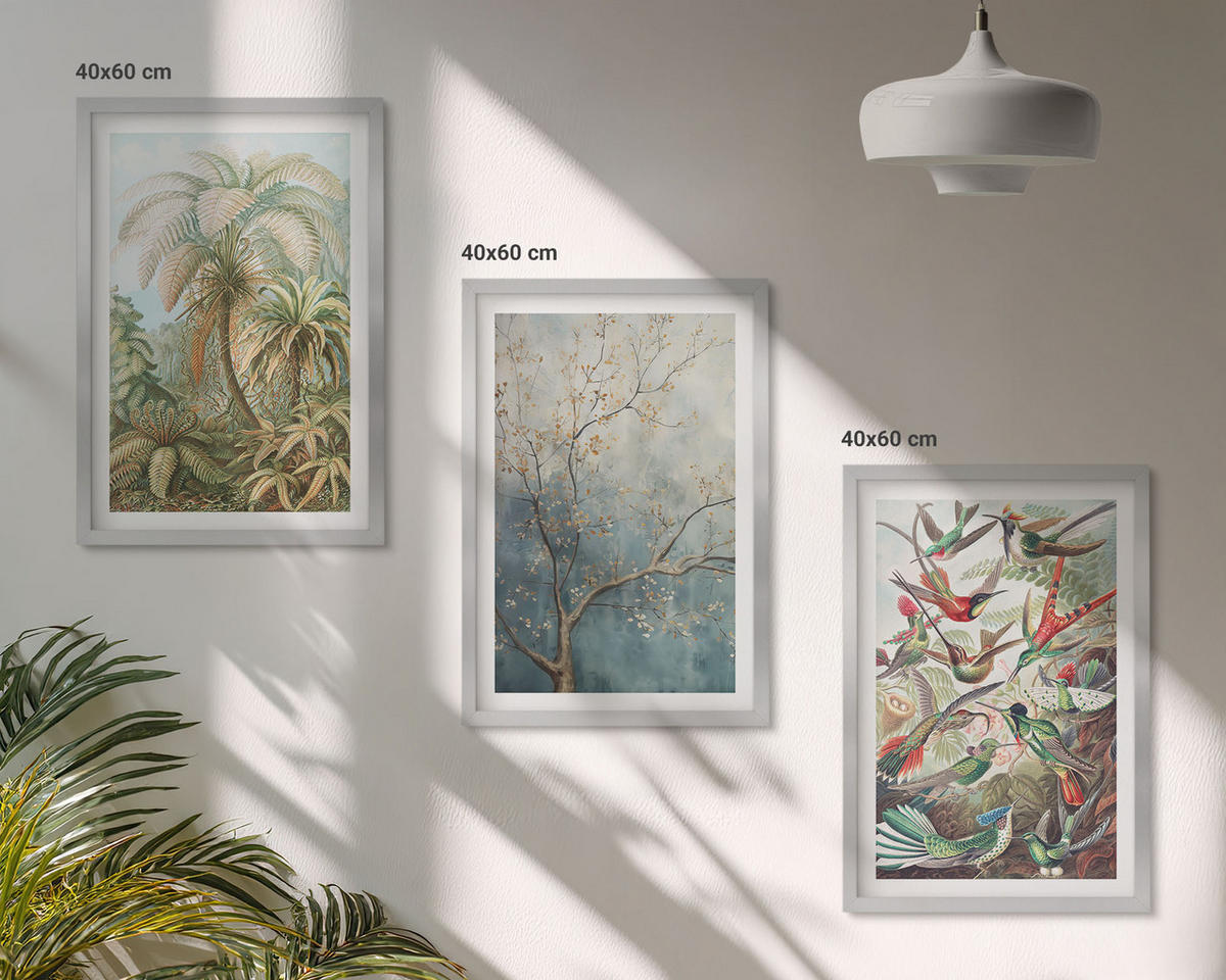BILDER SET 3er Set - 40x60 cm Silberner Rahmen - Tropische Pflanzen, Vögel, Natur - Silberfarben, Kunststoff (40/60cm) - TULUP