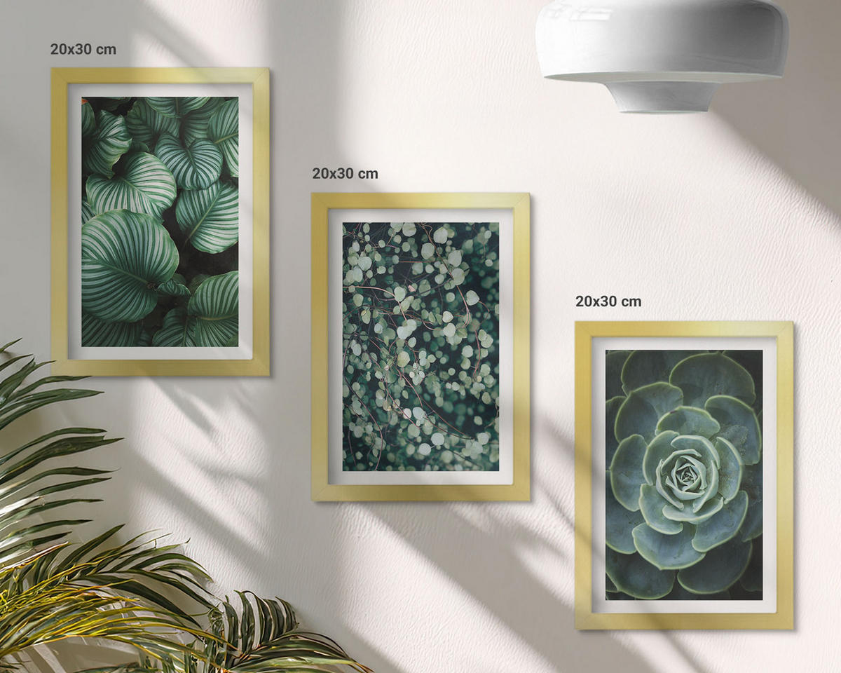 WANDBILDER 3er Set - 20x30 cm Goldrahmen - Sukkulenten im Stil grüner Blätter - Goldfarben, Kunststoff (20/30cm) - ArtPrintCave