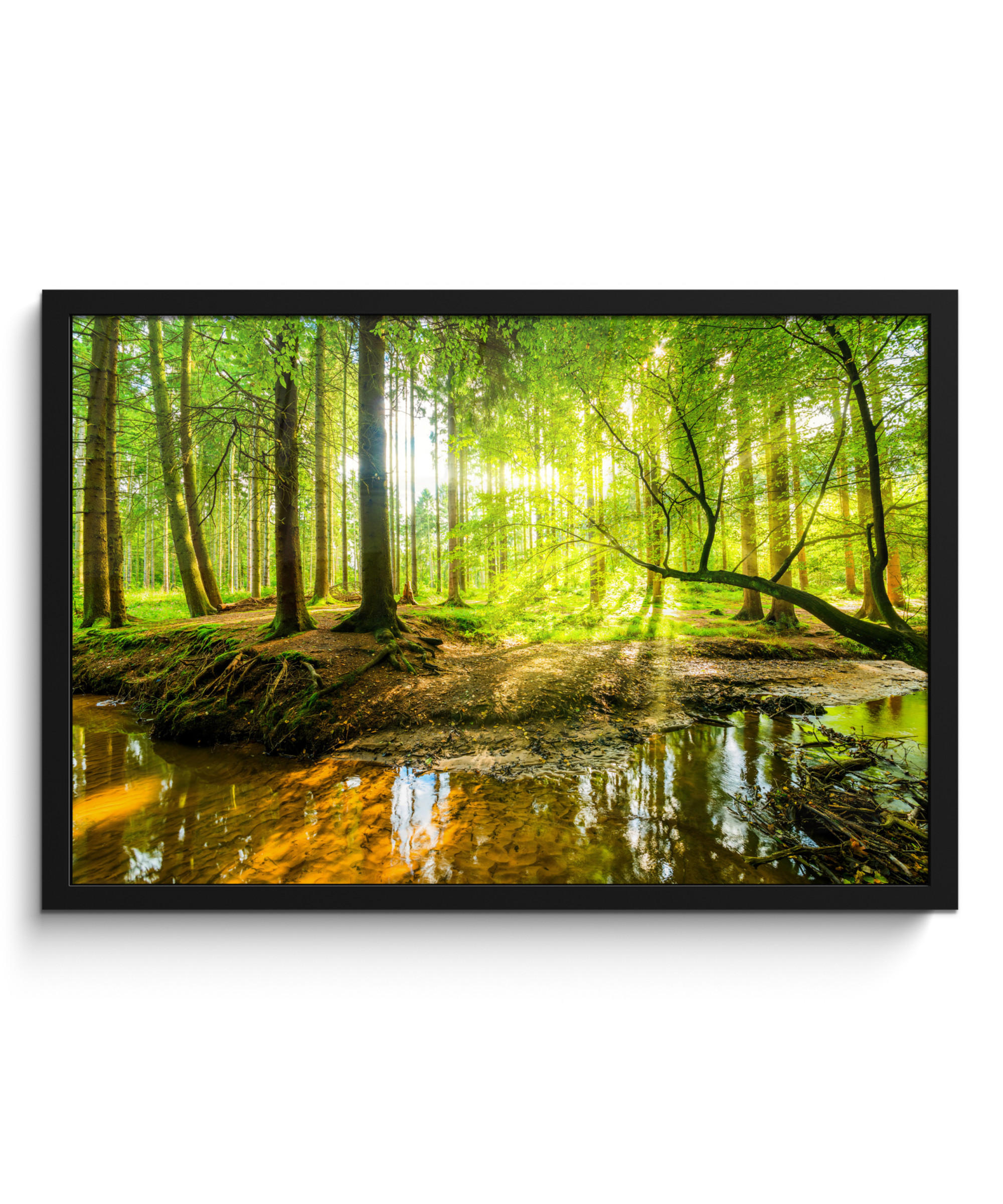 POSTER MIT RAHMENGERAHMTES BILD Wald - Landschaft - Wasser - Bäume - Sonne - Grün - Natur 60x40 cm - Grün, Papier (60/40cm) - MuchoWow