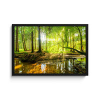 POSTER MIT RAHMENGERAHMTES BILD Wald - Landschaft - Wasser - Bäume - Sonne - Grün - Natur 60x40 cm - Grün, Papier (60/40cm) - MuchoWow