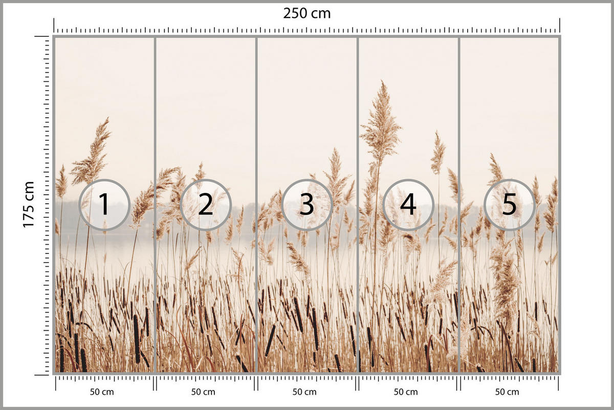 FOTOTAPETE für Wohnzimmer Pflanzen Natur 250x175 - Beige/Braun, Papier (250/175cm) - Muralo