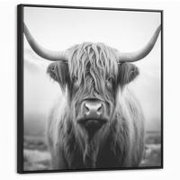 LEINWAND Bilder mit Rahmen - Schottischer Highlander - Nebel - Schwarz - Weiß - 90x90 - Grau, Textil (90/90cm) - MuchoWow