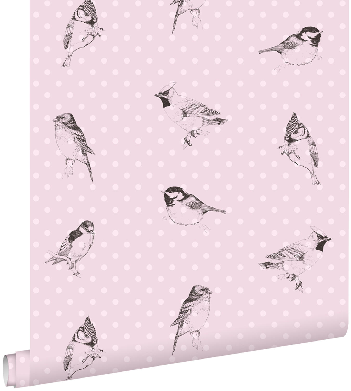 TAPETE Vögel 53 cm x 10.05 m - Pink, Papier (53/0.1cm) - ESTAhome