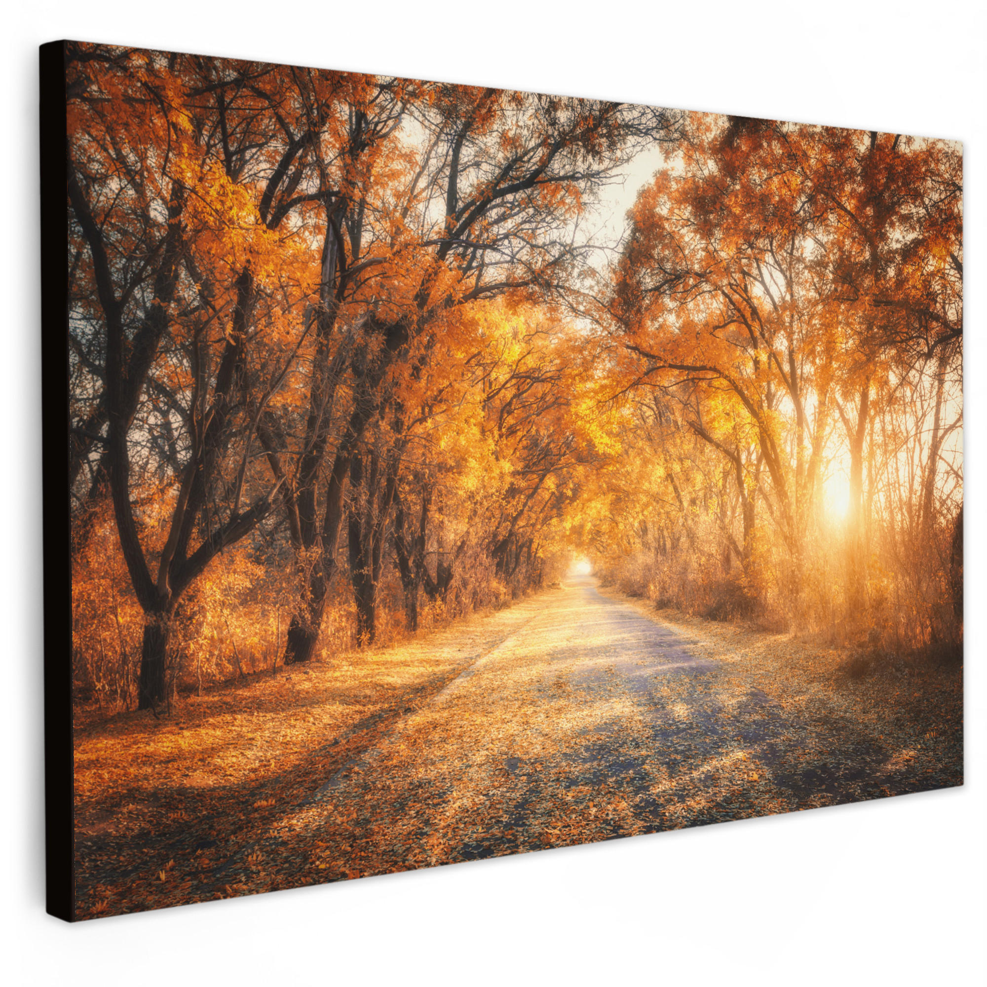 LEINWANDBILD Wald - Herbst - Bäume - Waldweg - Natur Wohnzimmer 120x80 cm - Bernsteinfarben, Textil (120/80cm) - MuchoWow