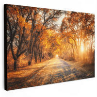 LEINWANDBILD Wald - Herbst - Bäume - Waldweg - Natur 30x20 cm - Bernsteinfarben, Textil (30/20cm) - MuchoWow