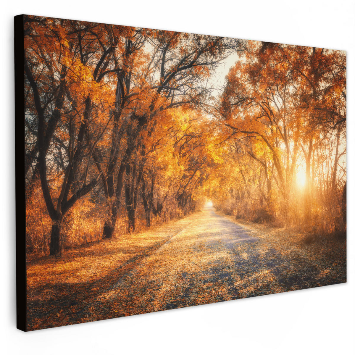LEINWANDBILD Wald - Herbst - Bäume - Waldweg - Natur 30x20 cm - Bernsteinfarben, Textil (30/20cm) - MuchoWow