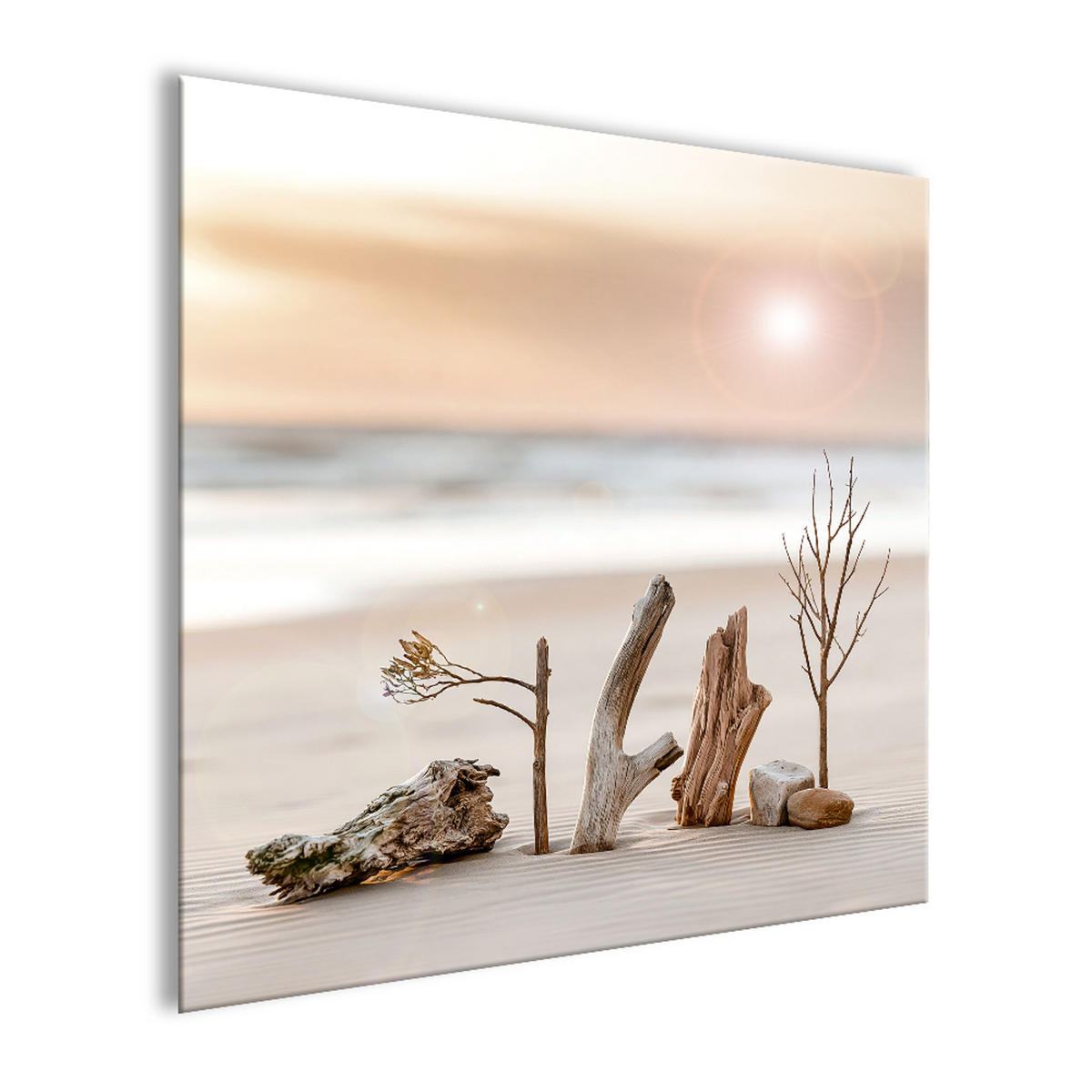 GLASBILD 50x50 cm Treibholz Strand beige-weiß - Beige, Glas (50/50cm) - artissimo