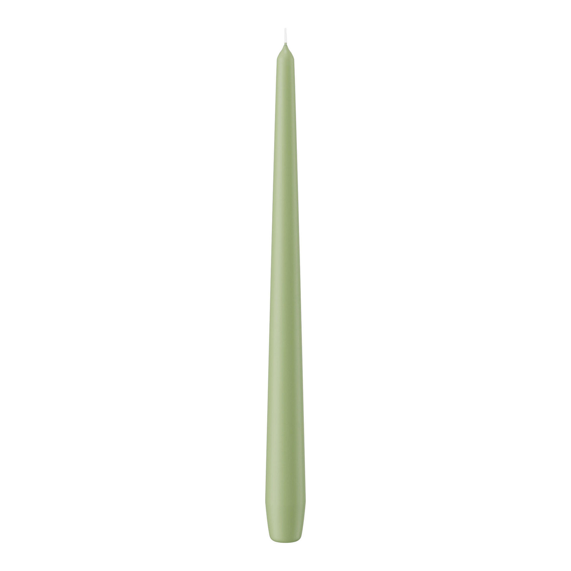 SPITZKERZEN Pastell Grün Aloe Vera 300 x Ø 25 mm, 12 Stück - Pastellgrün, Paraffin (2.5/30/30cm) - Wiedemann Kerzen