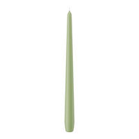 SPITZKERZEN Pastell Grün Aloe Vera 300 x Ø 25 mm, 12 Stück - Pastellgrün, Paraffin (2.5/30/30cm) - Wiedemann Kerzen