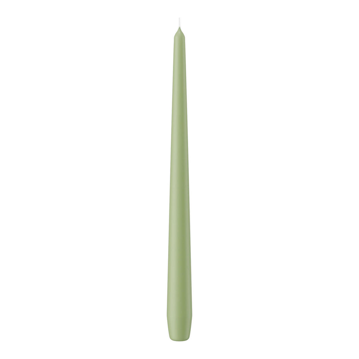 SPITZKERZEN Pastell Grün Aloe Vera 300 x Ø 25 mm, 12 Stück - Pastellgrün, Paraffin (2.5/30/30cm) - Wiedemann Kerzen