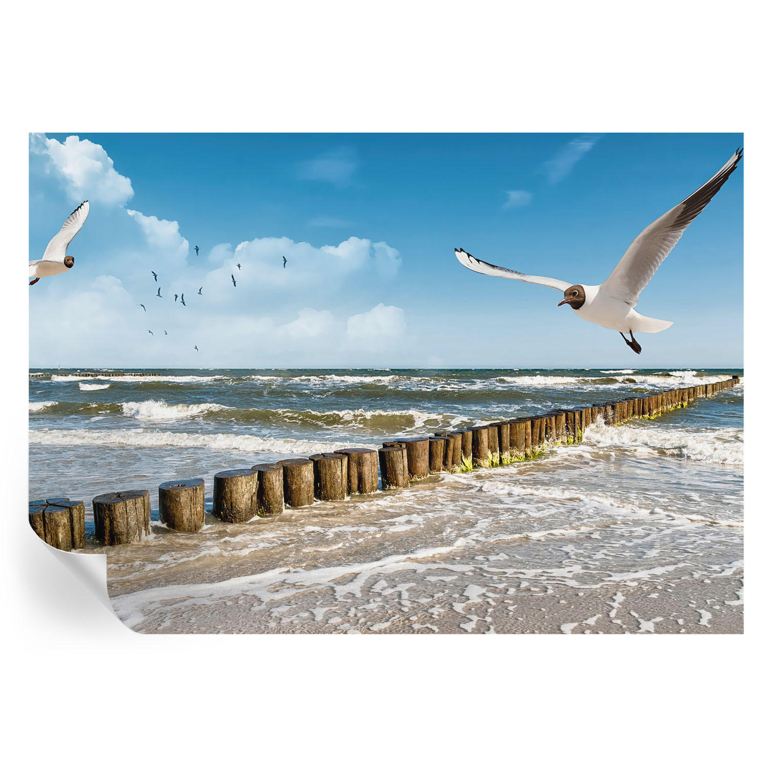 FOTOTAPETE 208x146 cm - Küstenlandschaft - Blau, Textil (208/146cm) - Wallfluent