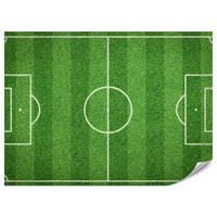 FOTOTAPETA Pre Študentskú Izbu Štadión Vtáčia Perspektíva Trávnik Ihrisko 250 x 175 cm - biela/zelená, papier (250/175cm) - Muralo