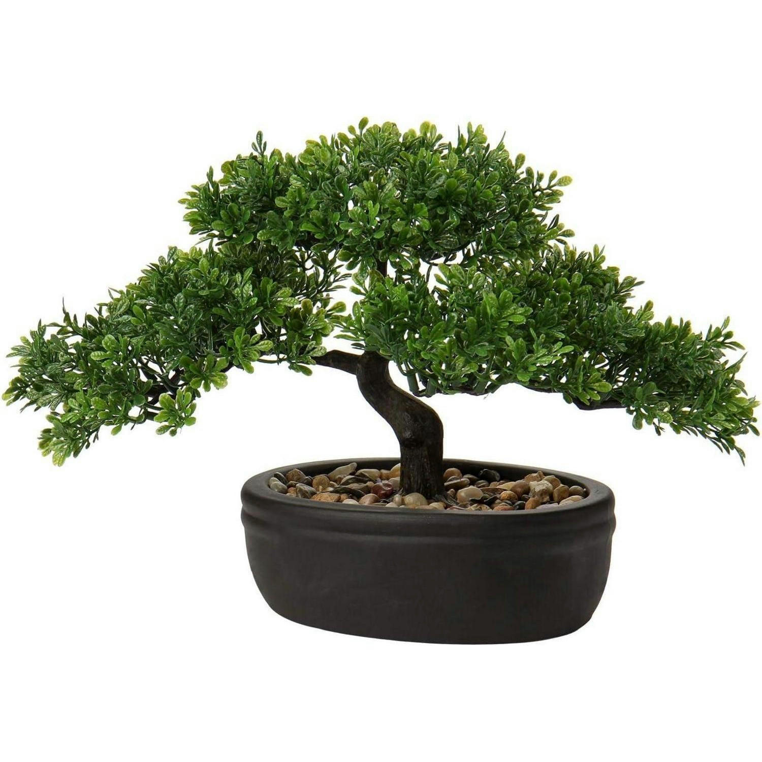 KUNSTBONSAI Podocarpus mit Keramik-Übertopf Schwarz 23 cm - Grün, Kunststoff (30cm)