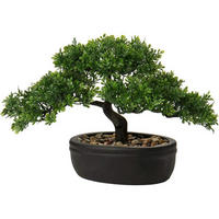 KUNSTBONSAI Podocarpus mit Keramik-Übertopf Schwarz 23 cm - Grün, Kunststoff (30cm)