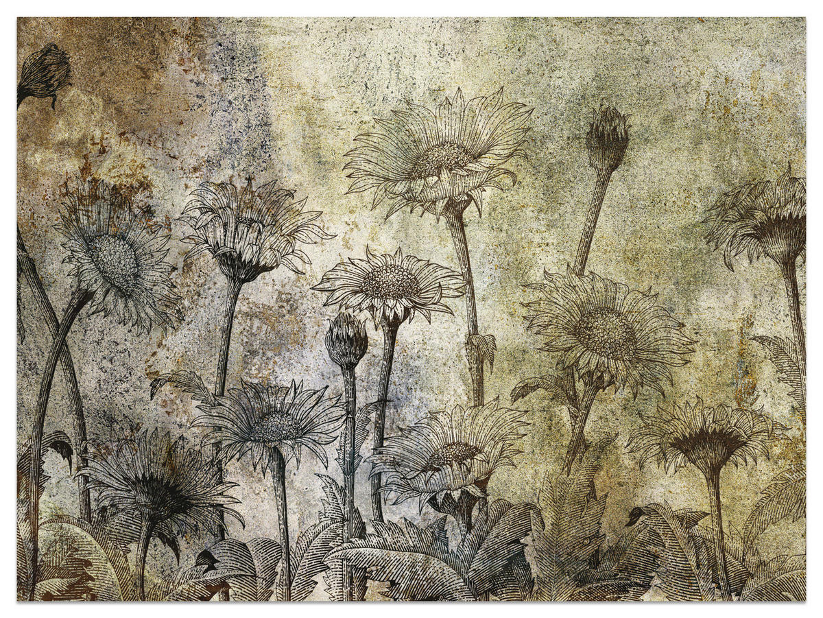 FOTOTAPETE Abstrakte Sonnenblumen Beton Retro 500x350 - Beige/Braun, Papier (500/350cm) - Muralo