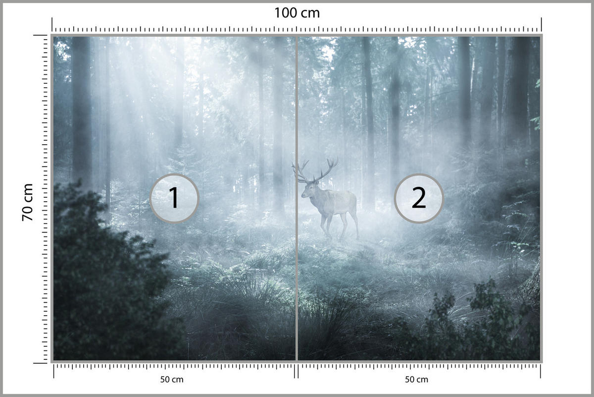 FOTOTAPETE für Wohnzimmer Hirsch Nebelwald Bäume Pflanzen 100x70 - Weiß/Grau, Papier (100/70cm) - Muralo