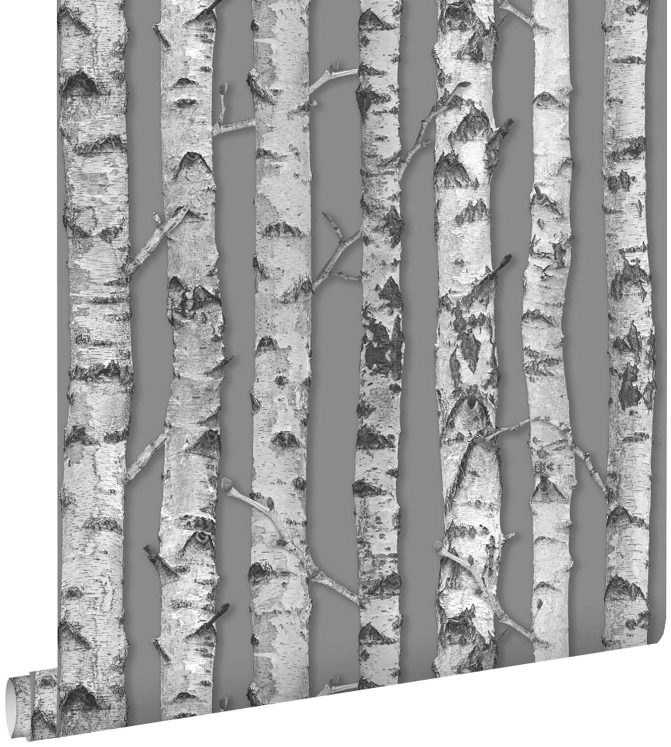 TAPETE Birkenstämme 53 cm x 10.05 m - Schwarz, Papier (53/1000cm) - ESTAhome