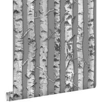 TAPETE Birkenstämme 53 cm x 10.05 m - Schwarz, Papier (53/1000cm) - ESTAhome