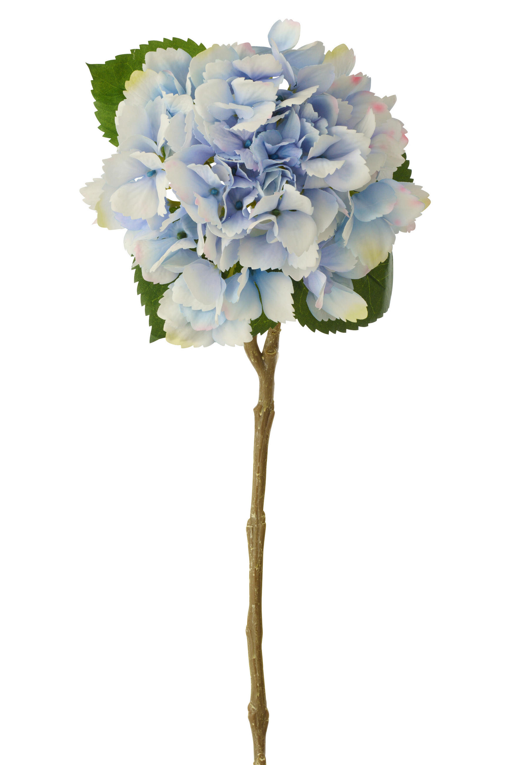 BLUME HORTENSIE GEFÜHLSECHT Blau - Blau, Kunststoff (62cm) - J-Line