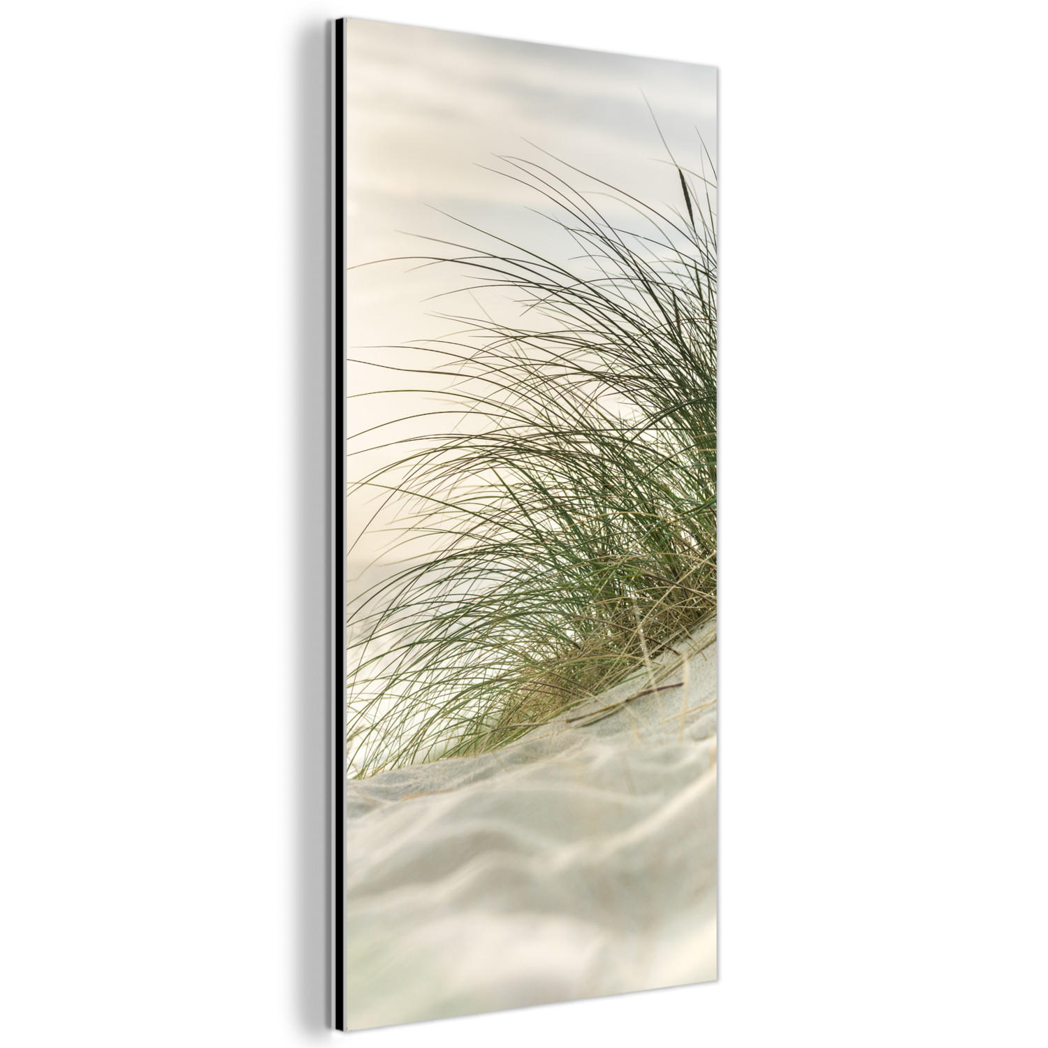 METALLBILD Dünen mit Strandhafer in der Sonne des Nationalparks Schleswig-Holsteinisches Wattenmeer 40x80 cm - Creme, Metall (40/80cm) - MuchoWow