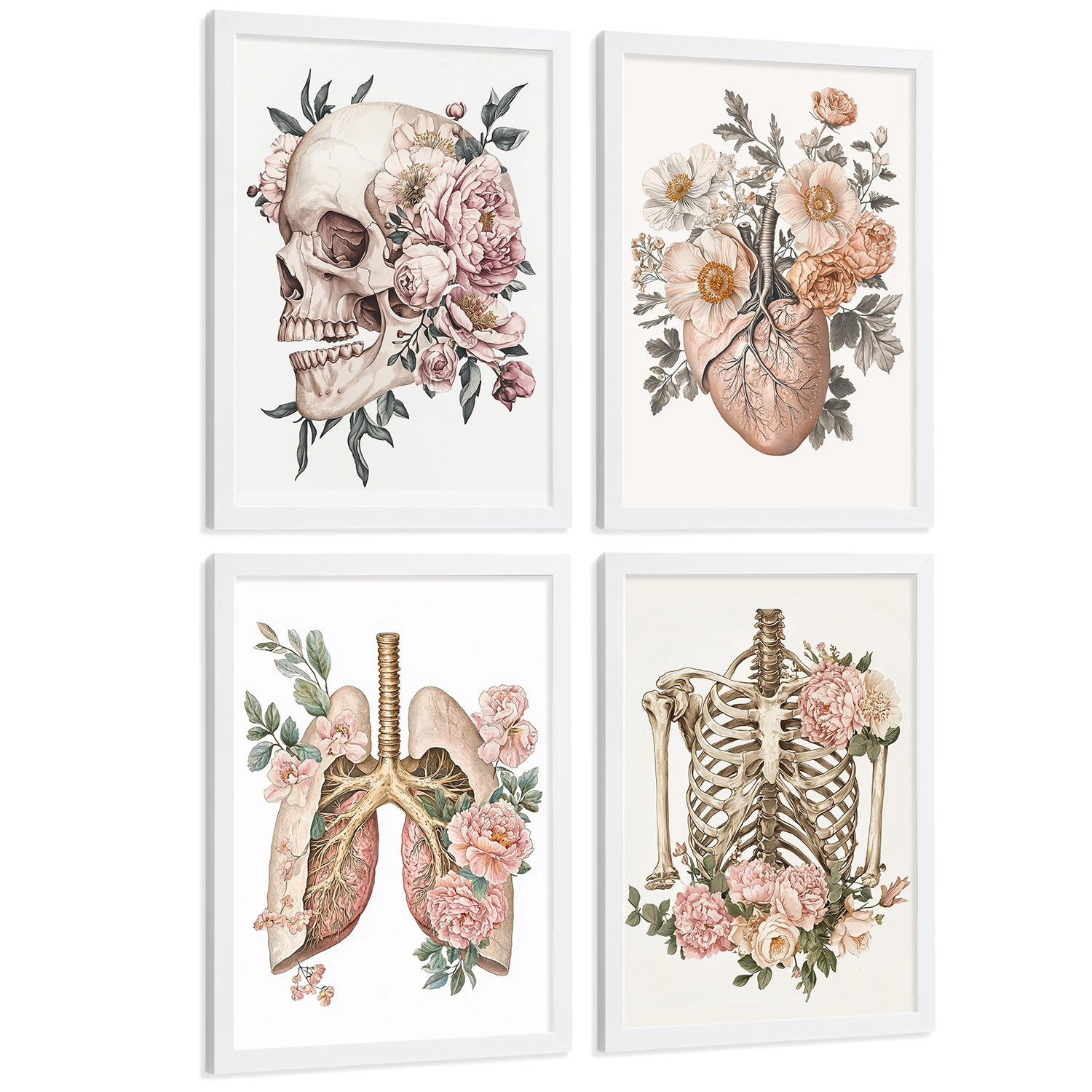 POSTER Set aus 4 Anatomie Mensch Florale Drucke und mit Schädel Herz Lungen und Skelett Botanische Aquarell dekoration Größe Weißer Rahmen A4 - Weiß, Papier (21/29.7/3cm) - Nacnic
