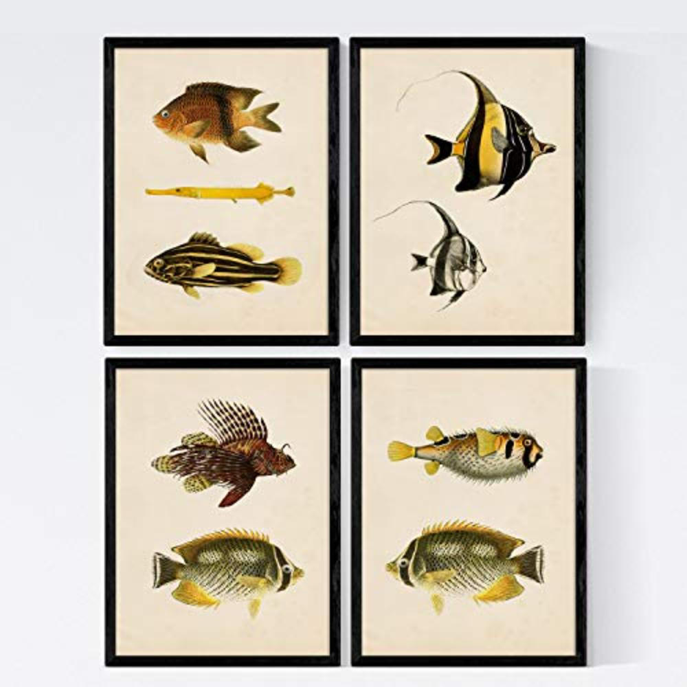 POSTER Set mit 4 Java von 9 verschiedenen Fischen A3 Rahmenlos - Klar, Papier (29.7/3cm) - Nacnic