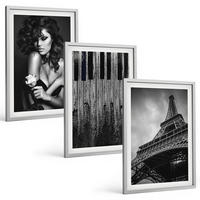 BILDER SET 3er Set - 40x60 cm Silberner Rahmen - Porträt einer Frau mit einer Eiffel-Rose - Silberfarben, Kunststoff (40/60cm) - TULUP