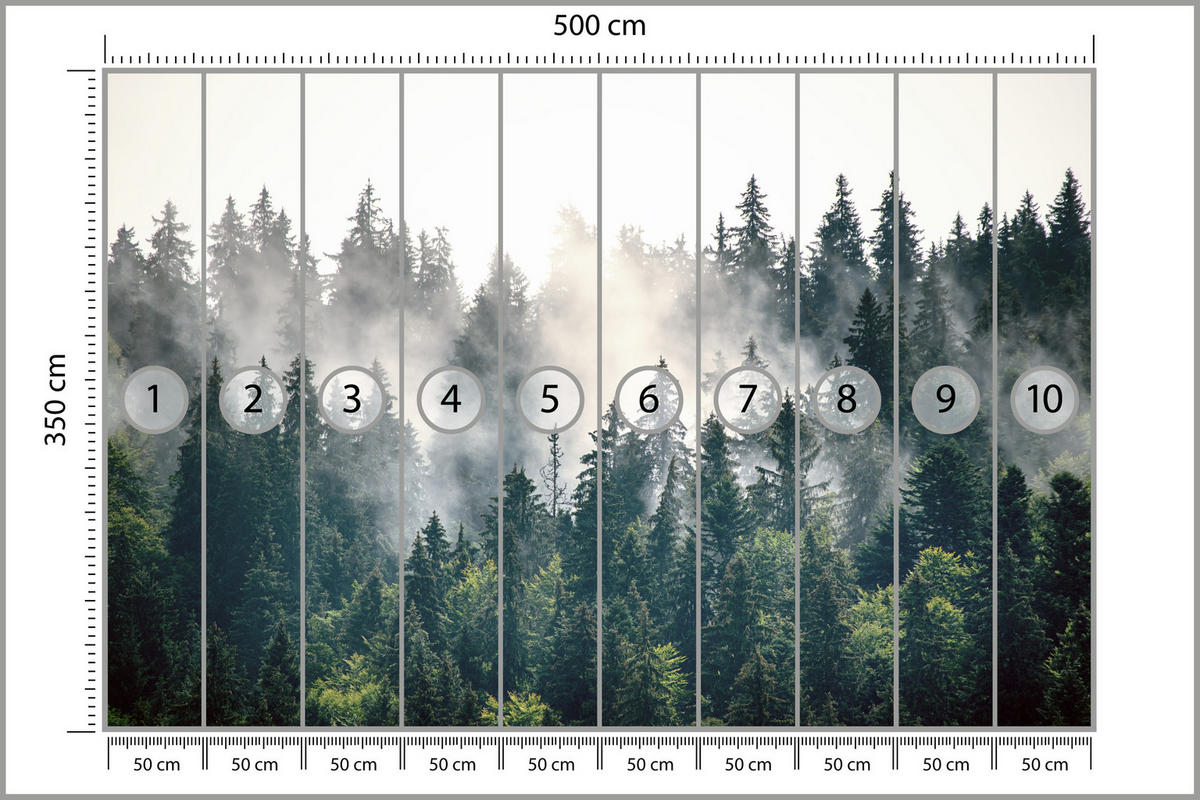 FOTOTAPETE für Wohnzimmer Nebeliger Nadelwald Berg Mystik Bäume 500x350 - Weiß/Grün, Papier (500/350cm) - Muralo