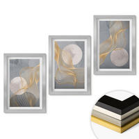 WANDBILDER 3er Set - 20x30 cm Silberner Rahmen - Abstrakte Muster Wellen Kreise - Silberfarben, Kunststoff (20/30cm) - ArtPrintCave