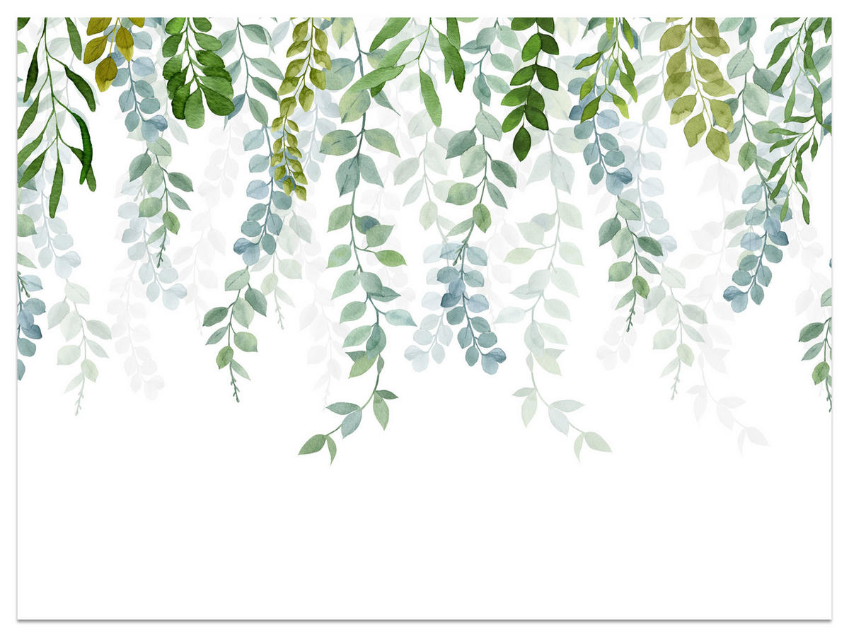 FOTOTAPETE für Schlafzimmer Zarte Ranken Blätter Kletterpflanzen Natur 150x105 - Weiß/Grün, Papier (150/105cm) - Muralo