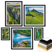 WANDBILDER 5er-Set - 50x50 cm & 20x30 cm & 40x60 cm Schwarzer Rahmen - Wasserfälle grüner Wald Wasser - Schwarz, Kunststoff (40/60cm) - ArtPrintCave