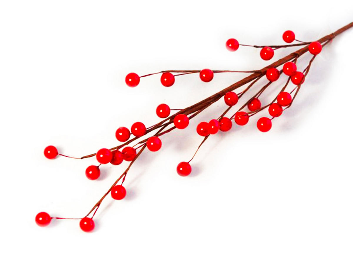 DEKOZWEIG mit roten Beeren 63 cm - Rot/Braun, Kunststoff (5/5/63cm) - LAALU