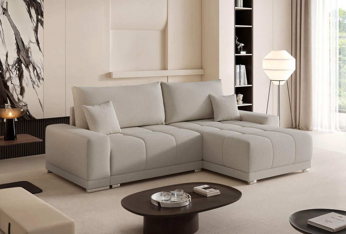 ECKSOFA TARA mit Schlaffunktion und Bettkasten Grau - Grau, Holzwerkstoff/Kunststoff (250/90cm) - Idohome